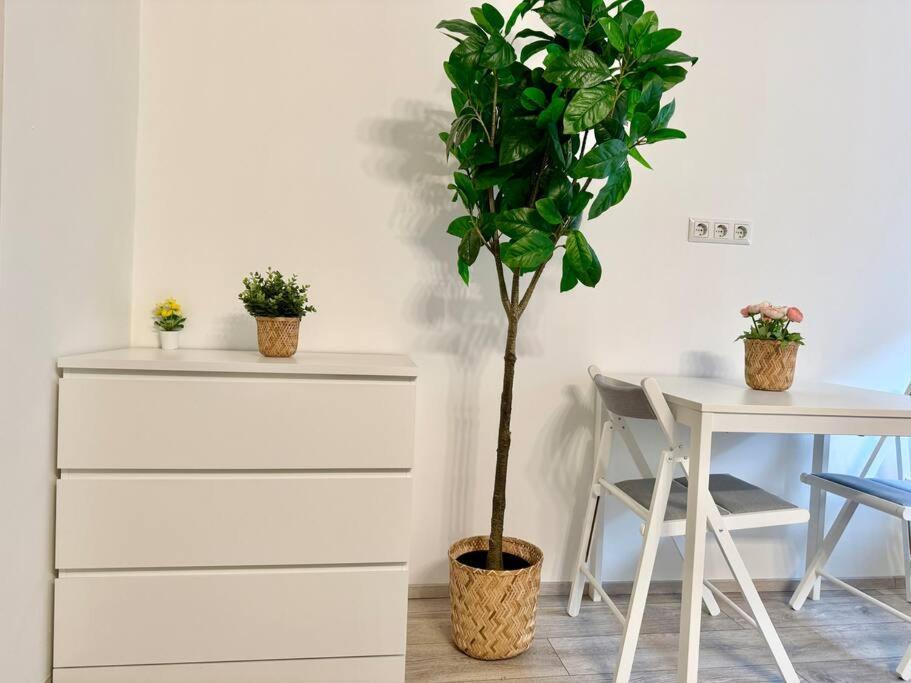 Easy Suites - Free Underground Parking Viena Exterior foto