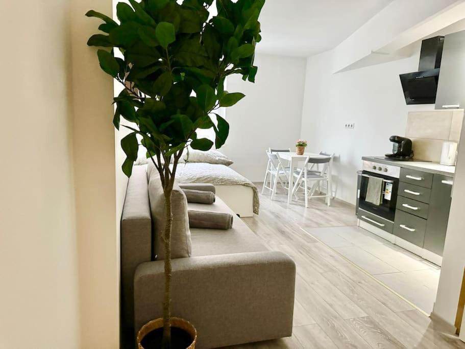 Easy Suites - Free Underground Parking Viena Exterior foto